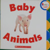 Baby Animals (Rookie Toddler)