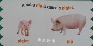 Baby Animals