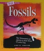 Fossils (A True Book: Earth Science)