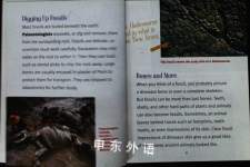 Fossils