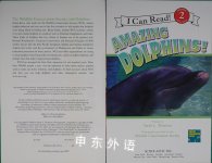 Amazing Dolphins