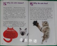 CAT: Why do cats purr and other true facts