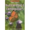 Butterflies And Caterpillars