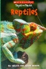 Reptiles Scholastic True Or False