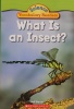 What Is An Insect? 