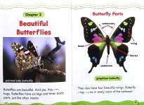 Beautiful Bugs