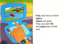 Tapir\'s Trip Home
