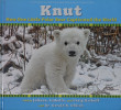 KNUT How One Little Polar Bear Captivated the World