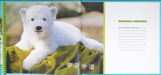 KNUT How One Little Polar Bear Captivated the World
