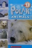 Polar Animals
