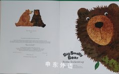Big Smelly Bear