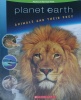 Animals And Their Prey Planet Earth