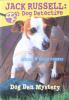 Jack Russell Dog Detective