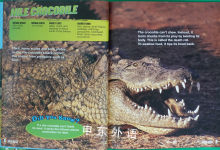 Incredible Reptiles Planet Earth Scrapbooks