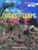Tricks and Traps (Investigate Survival)