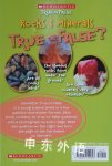 Scholastic True or Fales: Rocks & Minerals Scholastic True Or False