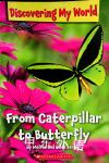 From Caterpillar to Butterfly Melvin A. Berger