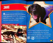 Pet Heroes Scholastic Reader Level 3