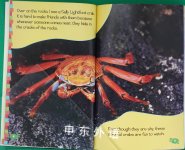 Lonesome George Finds His Friends