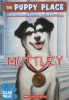 Muttley (The Puppy Place)