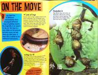 3-D Thrillers: Bugs and the World's Creepiest Microbugs