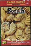Fossils Judith Bauer Stamper