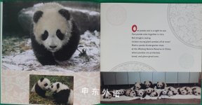 Panda Kindergarten