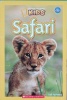 National Geographic Kids: Safari