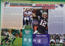 NFL: AFC/NFC Flip Book 2011