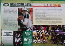 NFL Teams of the AFC  NFC