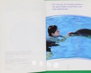 Dolphin Tale: A Tale of True Friendship