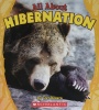 All About Hibernation