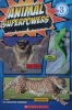  Animal Superpowers