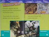 National Geographic Kids Readers: Dinosaurs
