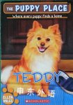 The Teddy (The Puppy Place #28) Ellen Miles