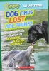 Dog finds lost dolphins! and more true stories of amazing animal heroes