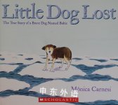 Little Dog Lost  Monica Carnesi