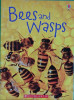 Usborne Beginners: Bees and Wasps
