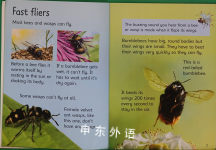 Usborne Beginners: Bees and Wasps
