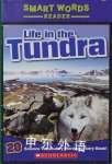 Life in the Tundra  Christine A. Caputo