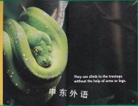 Snakes (Scholastic Reader, Level 2: Nic Bishop Reader #5)
