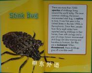 Scholastic Reader Level 2: Stinky Bugs
