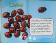 Scholastic Reader Level 2: Stinky Bugs