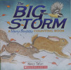 The Big Storm: A Very Soggy Counting Book