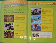 Tigers: National Geographic Kids