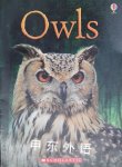 Owls Emily Bone