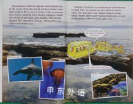 Ocean Adventure