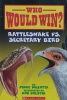 Rattlesnake vs. Secretary Bird (Who Would Win?) (15)