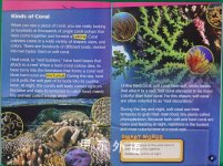 Smart Words reader Coral Reefs