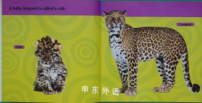 National Geographic Kids Look & Learn: Baby Animals (Look & Learn)
